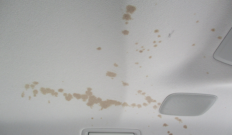 車内のクリーニング